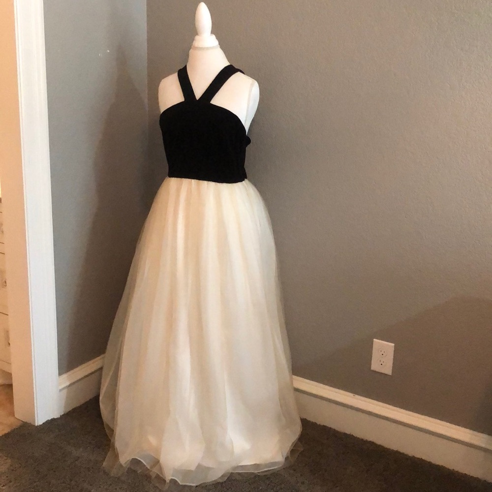 Free People 8th Story Chiffon and Velvet Dress